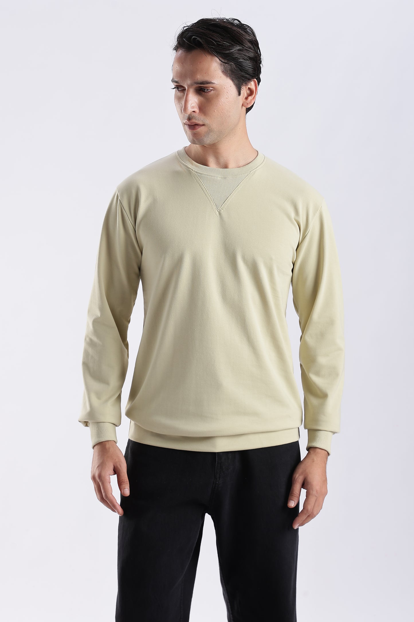 Classic Beige Crewneck Sweatshirt