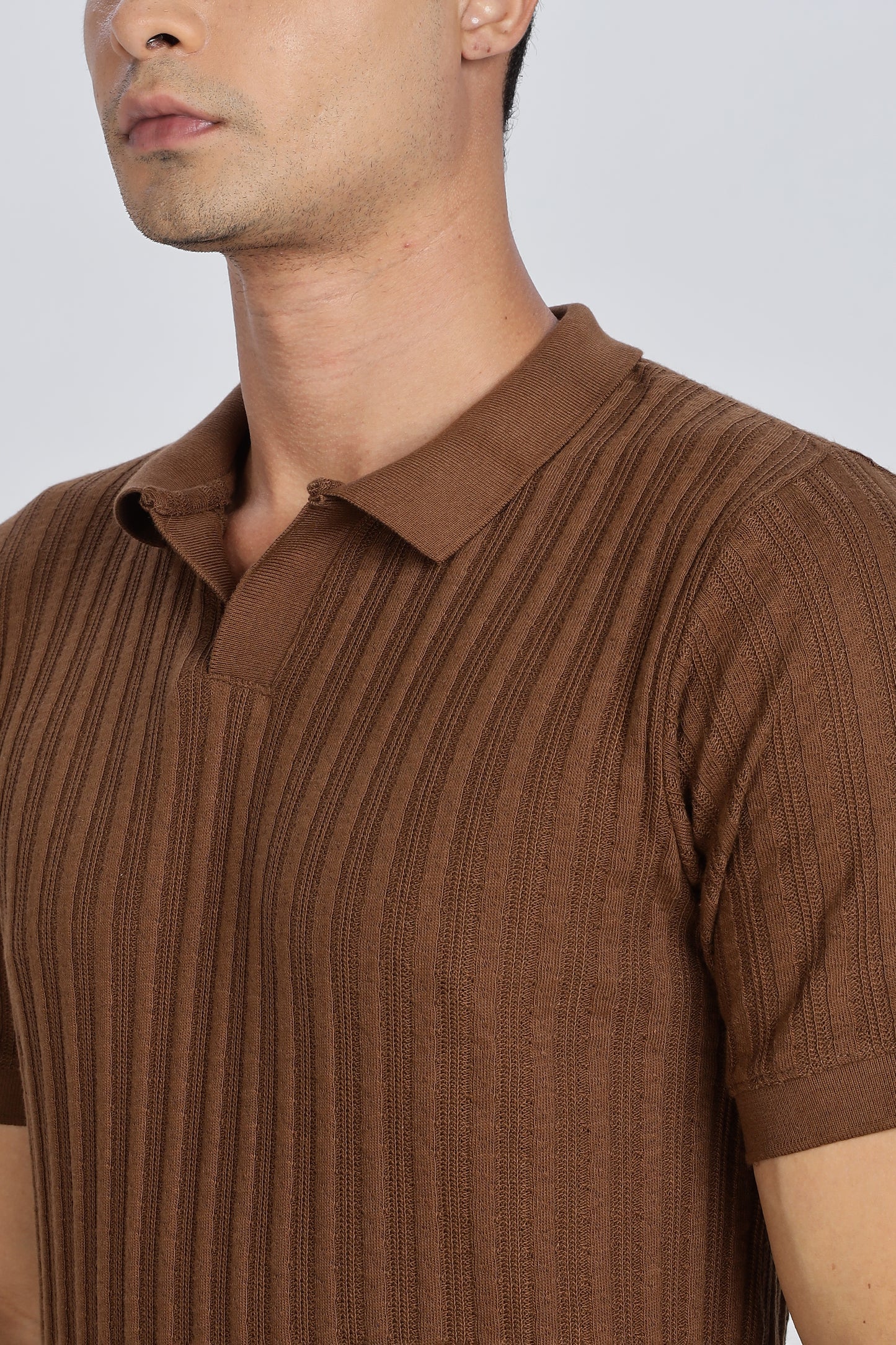 Regular Fit Men’s Brown Polo T-Shirt